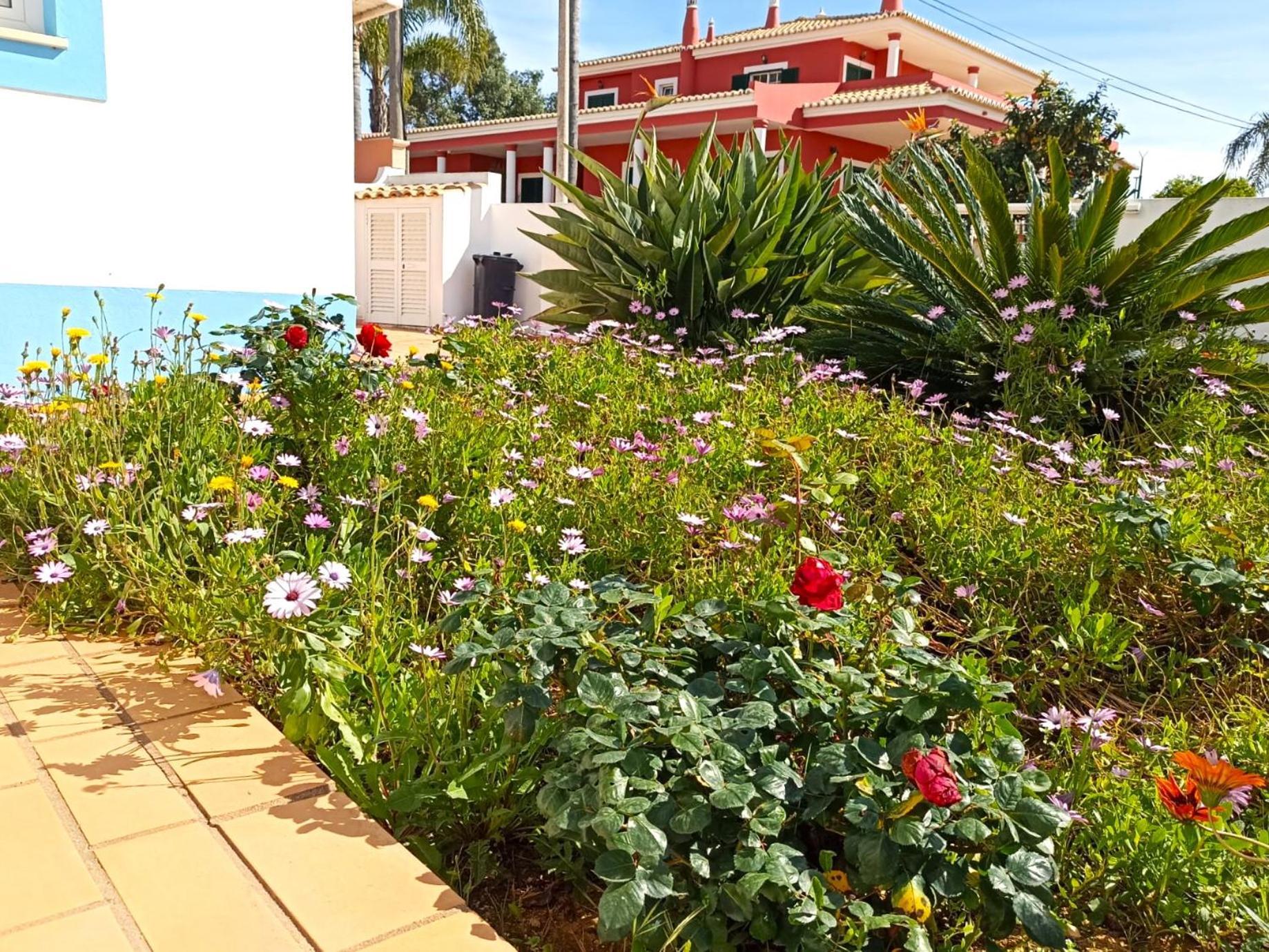 Casa Azul Hotell Lagos Eksteriør bilde